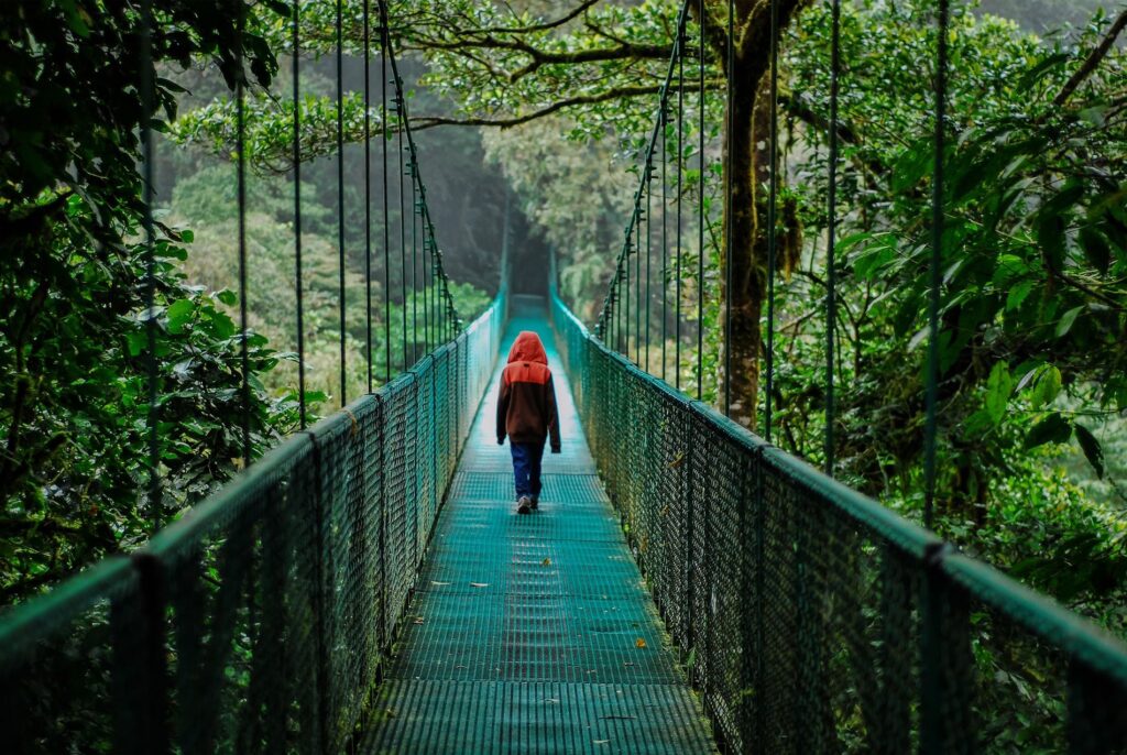 9 puentes colgantes selvatura monteverde